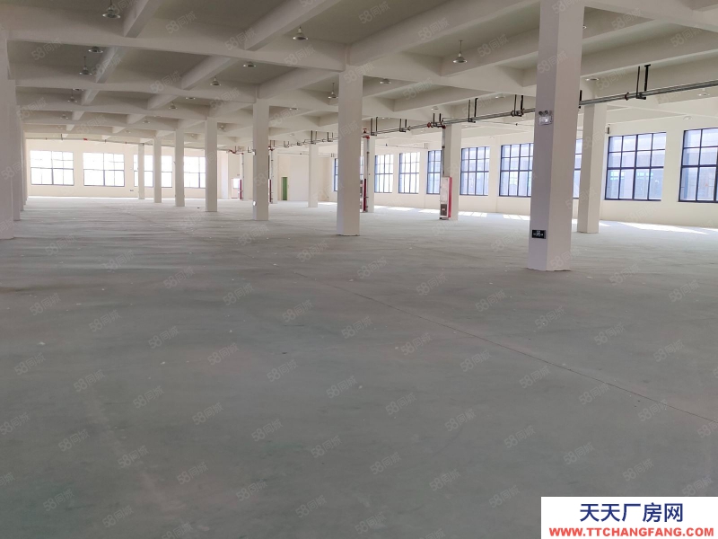 (出租) 合肥長豐雙鳳工業園2400平1200平廠房出租可做食品，可辦環評