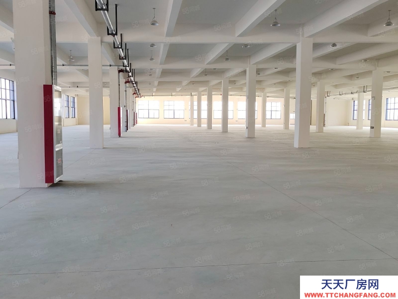(出租) 合肥長豐雙鳳工業園2400平1200平廠房出租可做食品，可辦環評