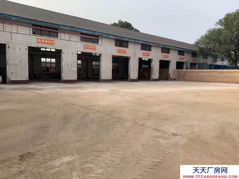 (出租) 亞歐橋多功能廠房可租可轉(zhuǎn)