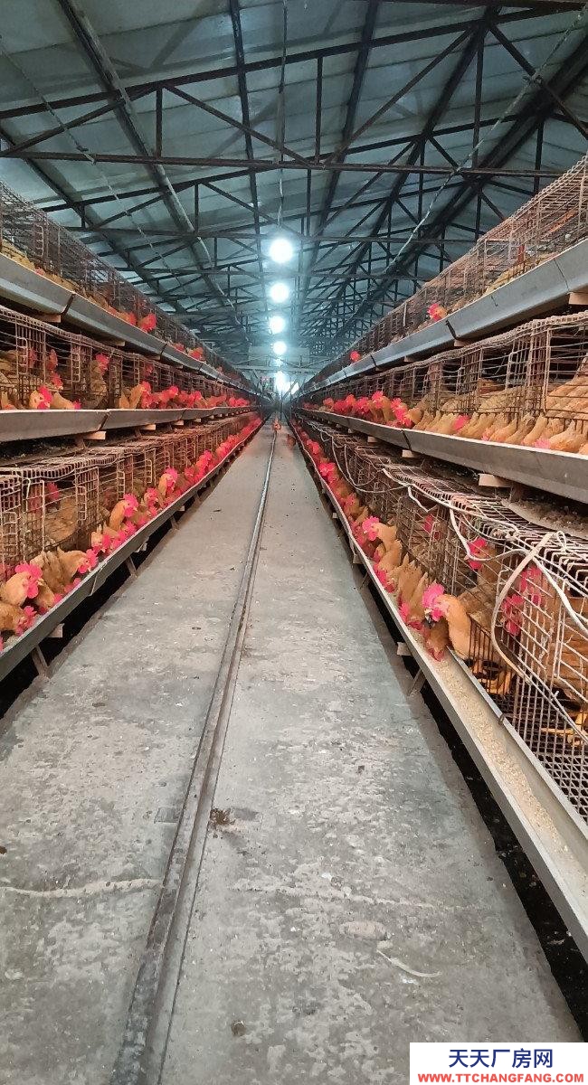 (出租) 由于工作原因忍痛割愛，能優惠。