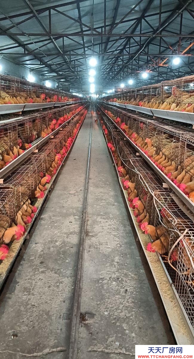 (出租) 由于工作原因忍痛割愛，能優惠。