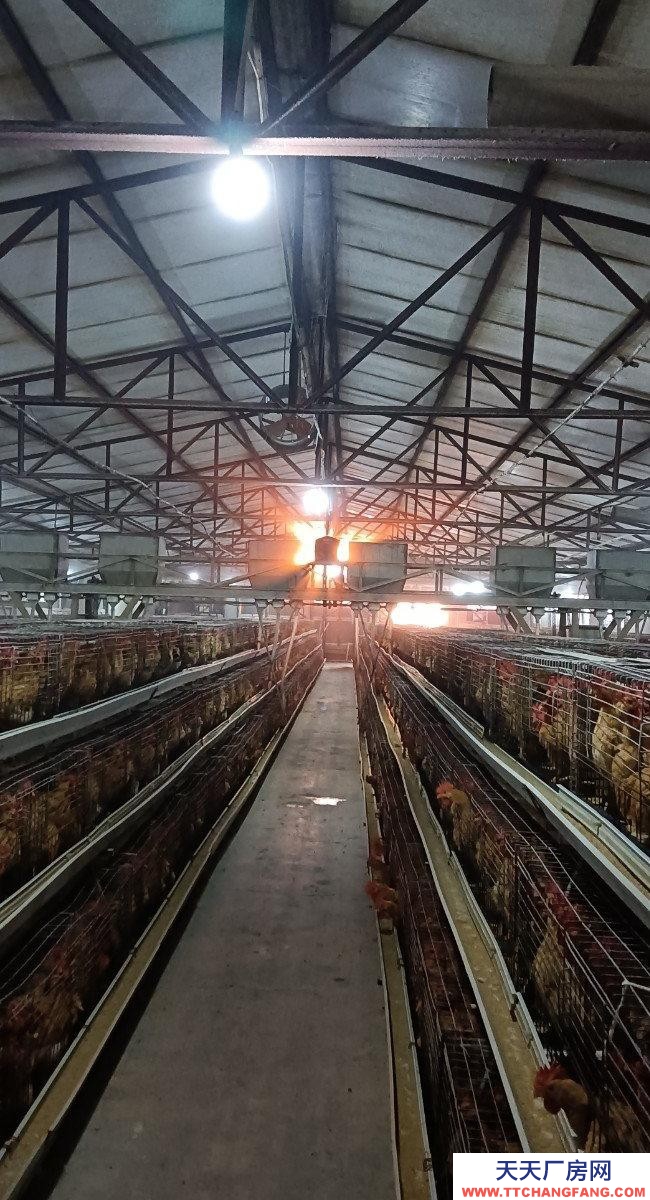 (出租) 由于工作原因忍痛割愛，能優惠。