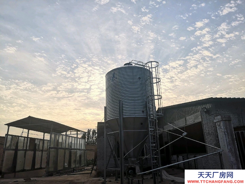 (出租) 自建養(yǎng)殖場(chǎng)，豬 牛 羊均可使用