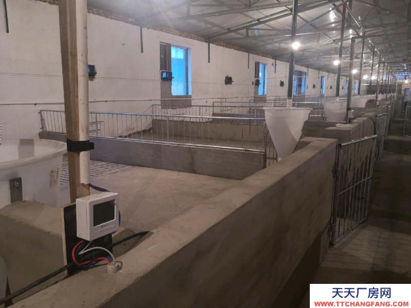 (出租) 自建養殖場，豬 牛 羊均可使用