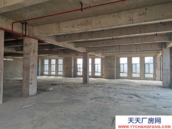 長沙市長沙區金霞3002500平臨湖獨棟多層廠房可辦公生產倉儲研發