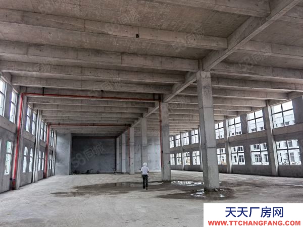 長沙市長沙區2層獨棟準現房，8米層高，12米柱距，適合生產的大通間廠房