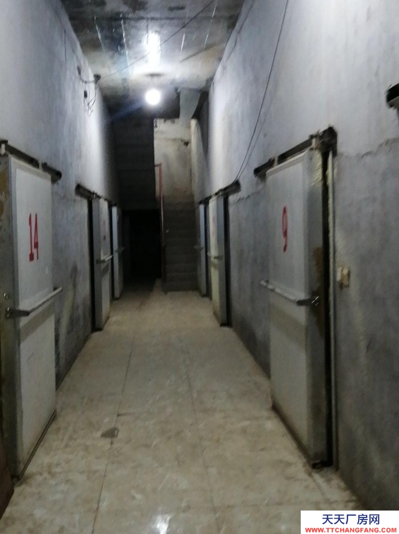 保定 滿城 保鮮庫21個，空地：2000平。
