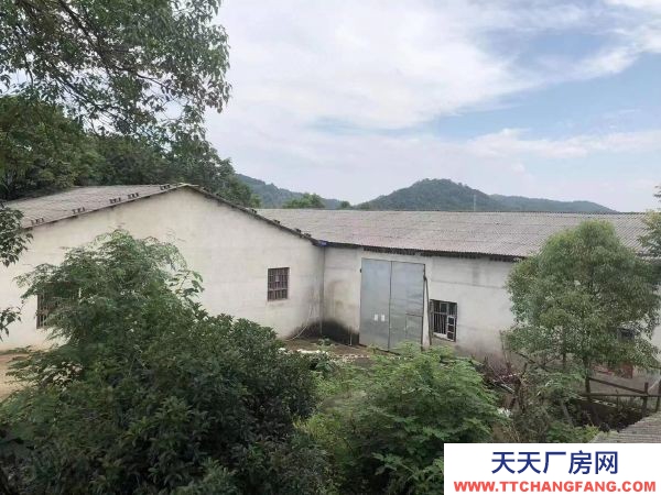 長沙市長沙區跳馬1750平倉庫單價7元一平出租