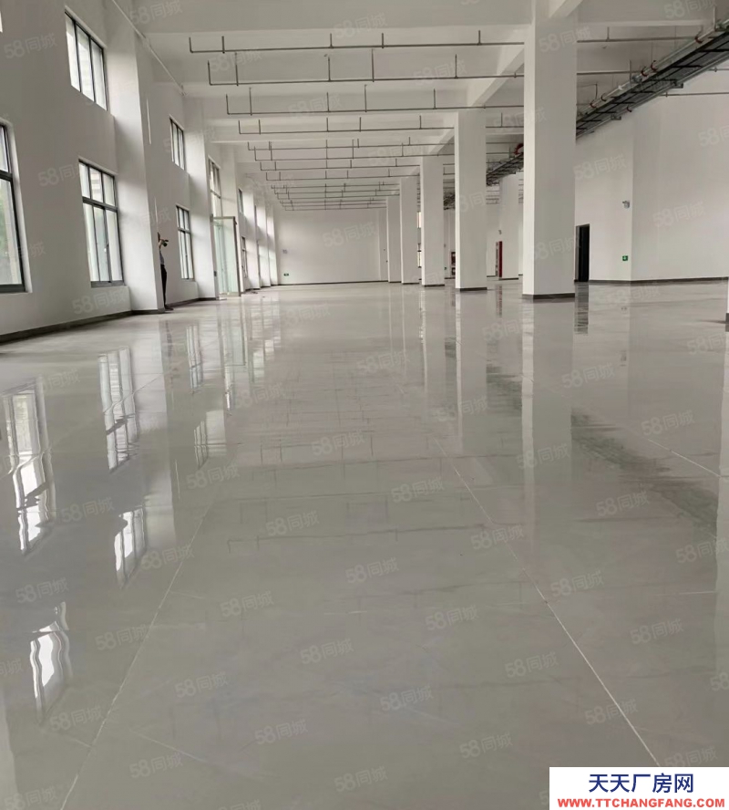 (出租) 裝修好200平350平650大小不等電商辦公倉儲,輕加工組裝