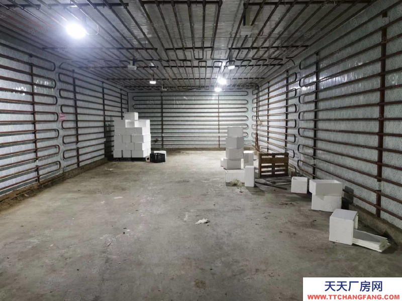 (出租) 合肥肥東龍塘單門獨戶廠房房冷庫出租