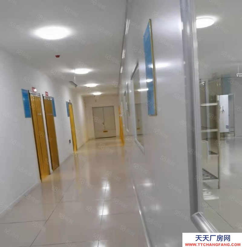 (出租) 合肥肥東龍塘單門獨戶廠房房冷庫出租