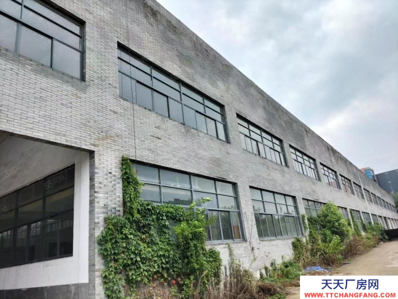 杭州桐廬(出租) 平倉(cāng)12000方 可分租 層高8米 高速出口1公里