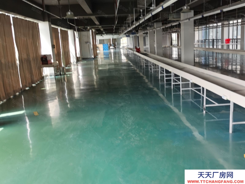 (出租) 合肥 肥東開發(fā)區(qū)標(biāo)準(zhǔn)框架一樓廠房11元出租，