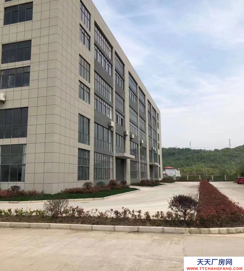 (出租) 合肥 肥東東部新中心單層鋼構(gòu)廠房對外出租 周邊配套齊全