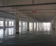 (出租)宜昌點軍 1600平米單層廠房出租，空地大，價格便宜