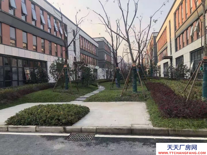 杭州淳安(出售) 出售千島湖高優惠政策低首付廠房，可定制，5百方1.2萬方