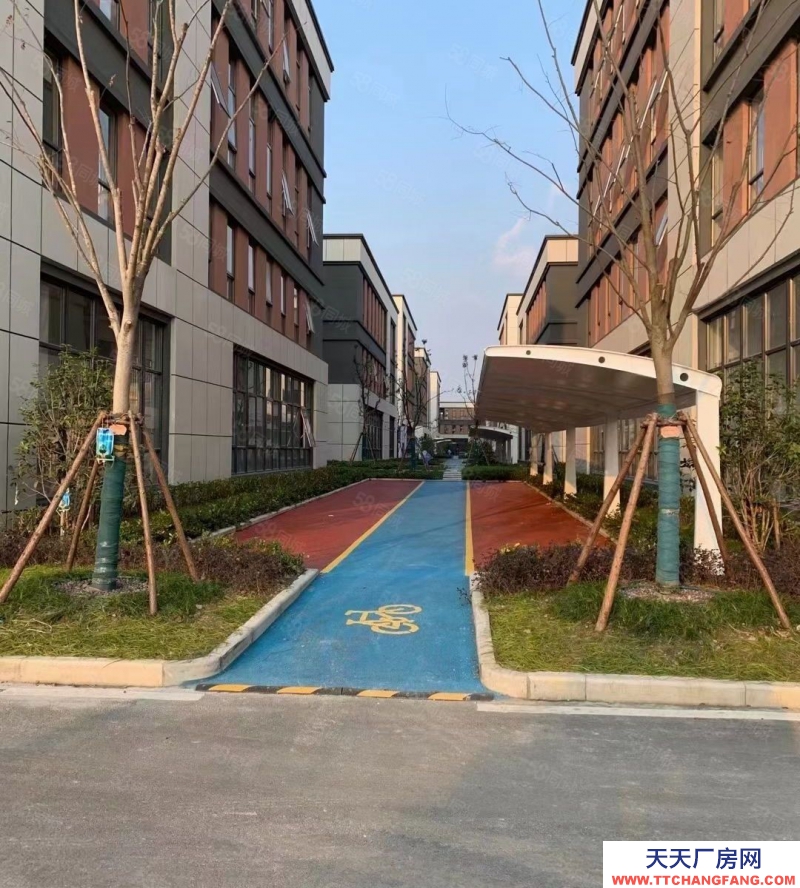 杭州淳安(出售) 出售千島湖高優惠政策低首付廠房，可定制，5百方1.2萬方