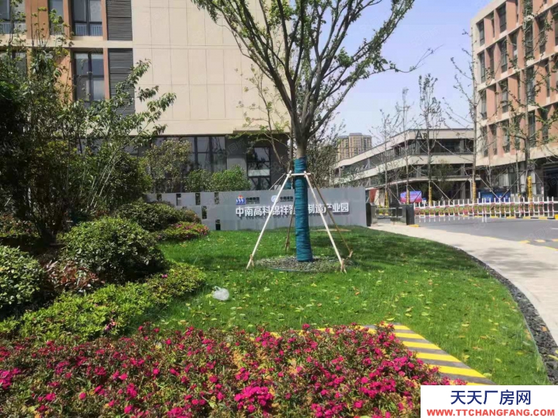 (出售) 中南高科肥東產業園 8米層高 三成首付 有產證