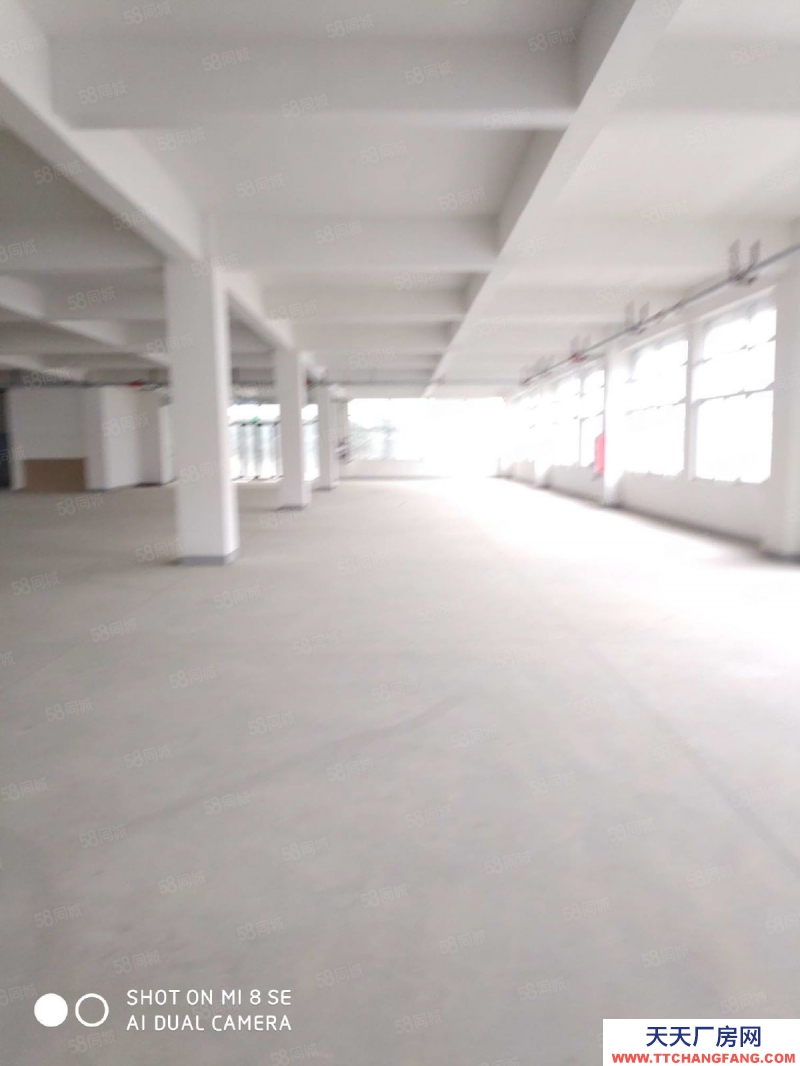 (出售) 合肥 肥西框架廠房4萬方占地30畝