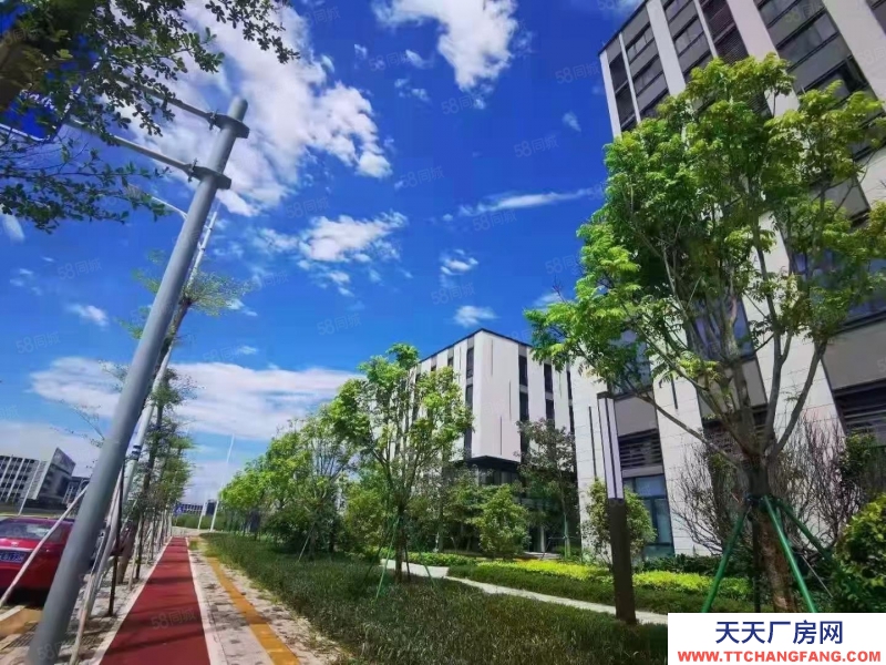 (出售) 合肥 肥西10年租金換獨棟！高端制造產(chǎn)業(yè)聚集！品質(zhì)園區(qū)！低首付！