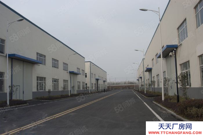 (出租) 合肥 肥西7000平米獨(dú)棟單一層鋼結(jié)構(gòu)