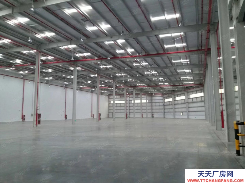 (出租) 合肥 肥西7000平米獨(dú)棟單一層鋼結(jié)構(gòu)