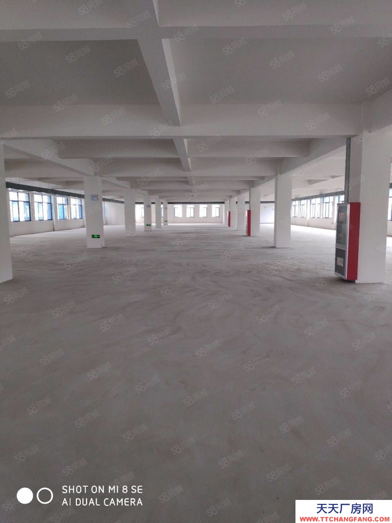 (出租)合肥 肥西單層2500平總面積8000平600平起租