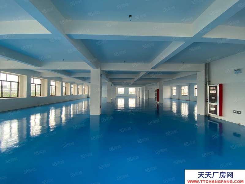 (出租) 合肥 肥西 電商福音 整層1200平 全新廠房