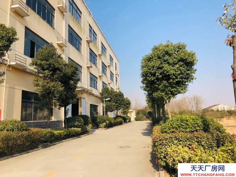 (出租) 合肥 肥西森林大道旁獨棟廠房出租,價格優惠