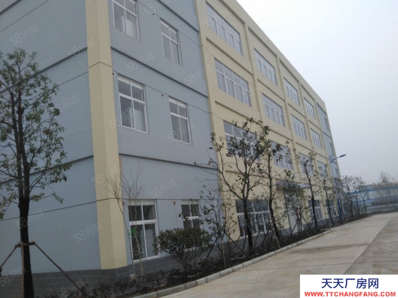 (出租) 合肥 肥西500平米至5000平米框架結(jié)構(gòu)