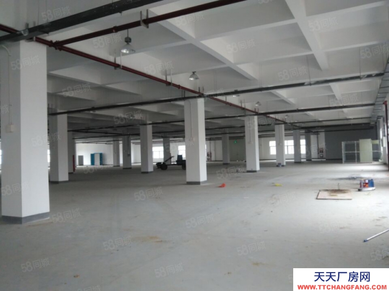 (出租) 合肥 肥西500平米至5000平米框架結(jié)構(gòu)