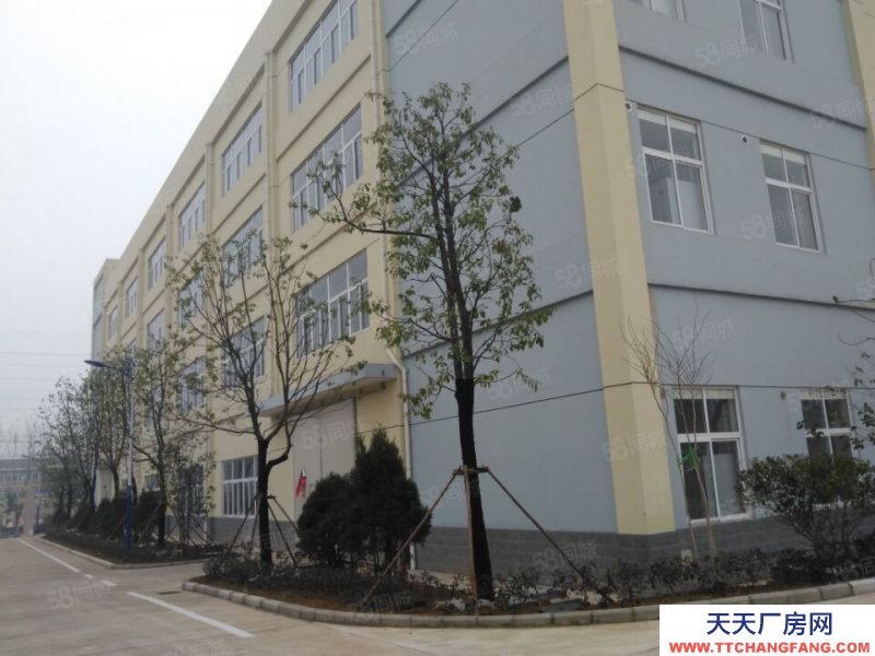 (出租) 合肥 肥西500平米至5000平米框架結(jié)構(gòu)