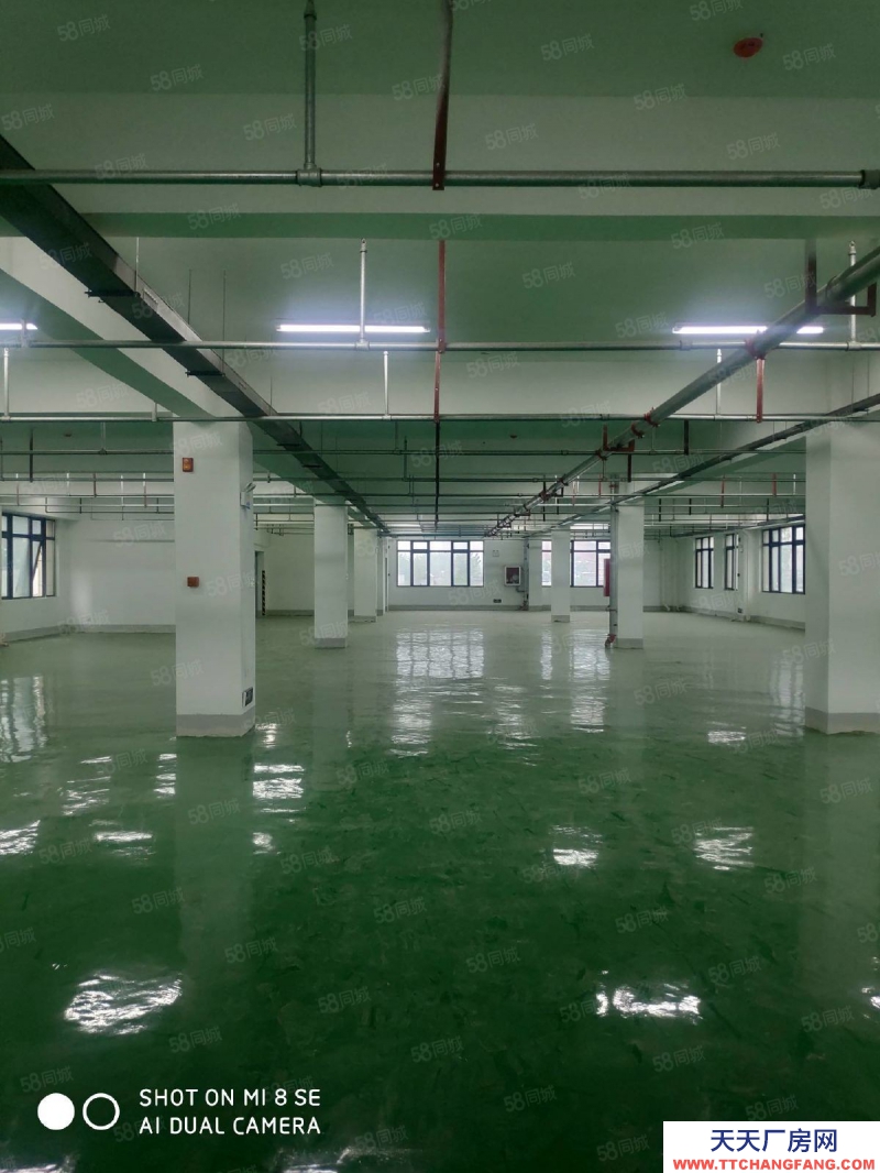 (出租) 合肥 肥西華南城單層廠房倉庫5000平有貨梯可分割租賃500平起