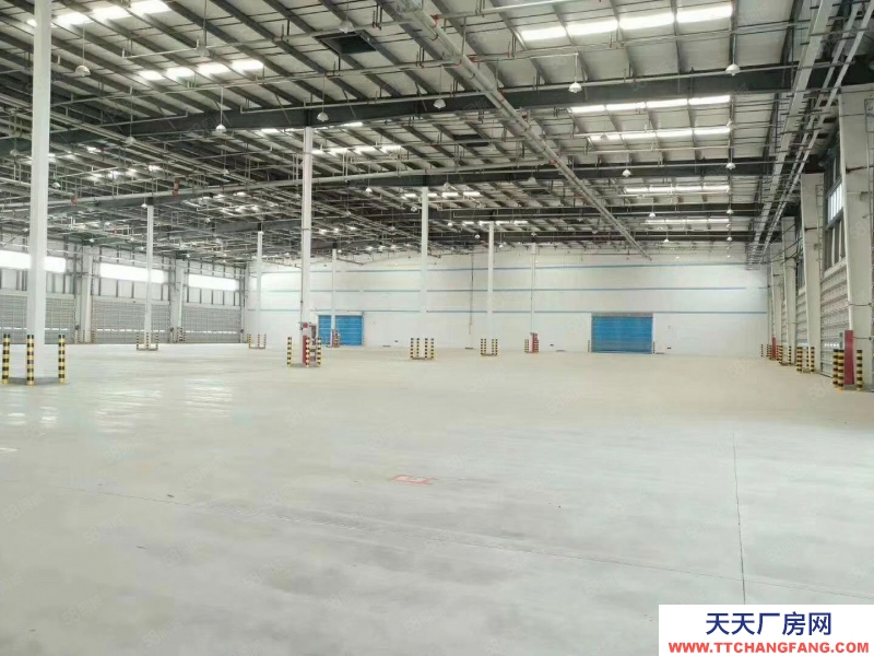 (出租) 合肥 肥西丙二類高標庫20000平招租