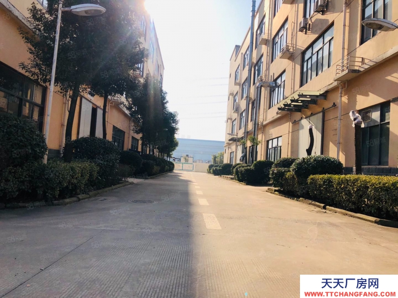 (出租) 合肥 肥西繁華大道附近小面積倉庫出租