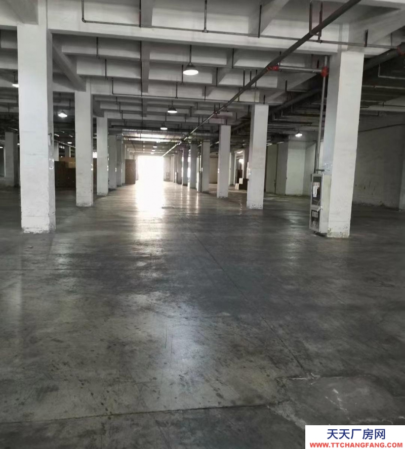 (出租) 出合肥 肥西肥西周邊,冷鏈倉儲(chǔ)