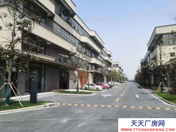 (出租) （蕪湖 鳩江全新廠房出租出售，首層8.1米，環(huán)境好，好招工