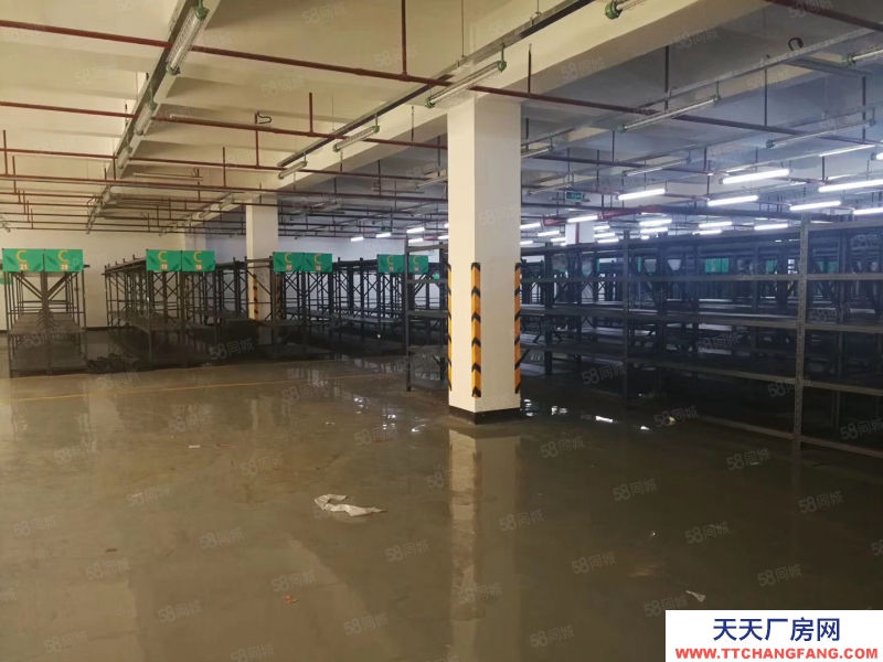 (出租) 直租深圳羅湖恒溫或普通倉庫1至500平米1天起租整租分租