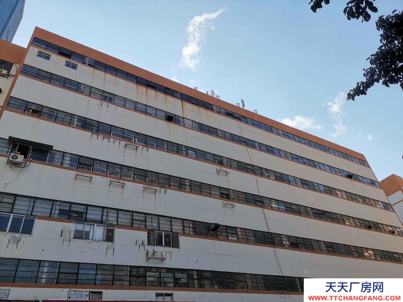 (出租) 深圳羅湖筍崗倉庫出租，業(yè)主直租，看房隨時