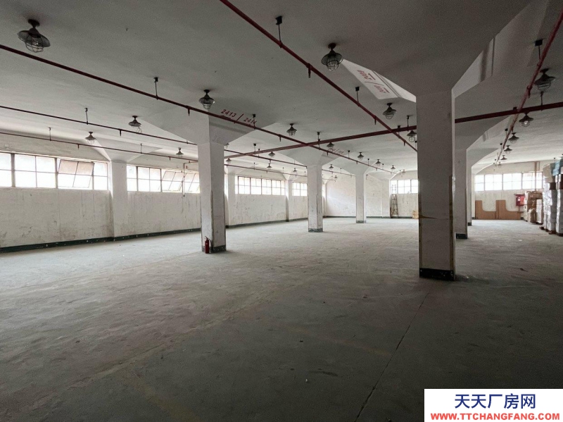 (出租) 深圳羅湖現(xiàn)有倉庫出租，散租定租既可