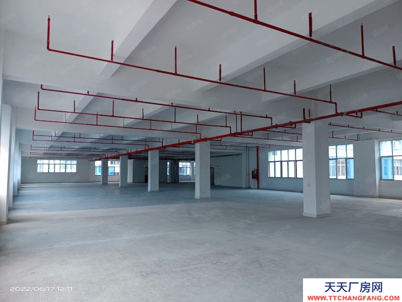 (出租) 深圳福田保稅倉7000平方國企業主直租