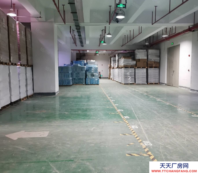 (出租)深圳 南山專業倉庫，提供倉儲儲托管