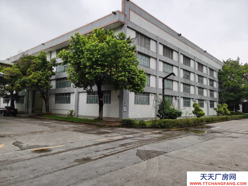 (出租) 深圳寶安福永紅本獨院鋼構3000平一樓廠房出租可分租低價物流倉庫合租