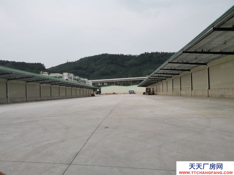 (出租) 深圳寶安福永機場附近新出物流廠房20000平米可分租