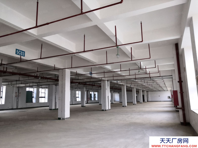 (出租) 深圳龍崗美泰物流園周邊3000平方帶貨臺物流倉庫出租