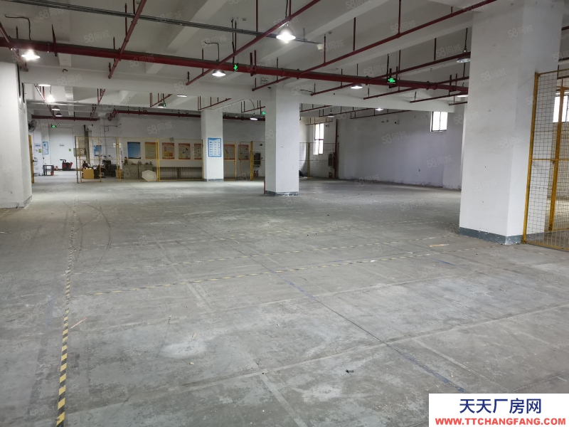 (出租) 深圳龍崗平湖1500平倉庫分租,可代管操作項(xiàng)目,裝卸配送一體