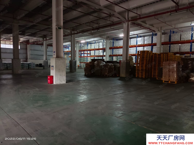 (出租) 深圳龍崗近鹽田港鋼結(jié)構(gòu)高臺庫原業(yè)主可分割出租