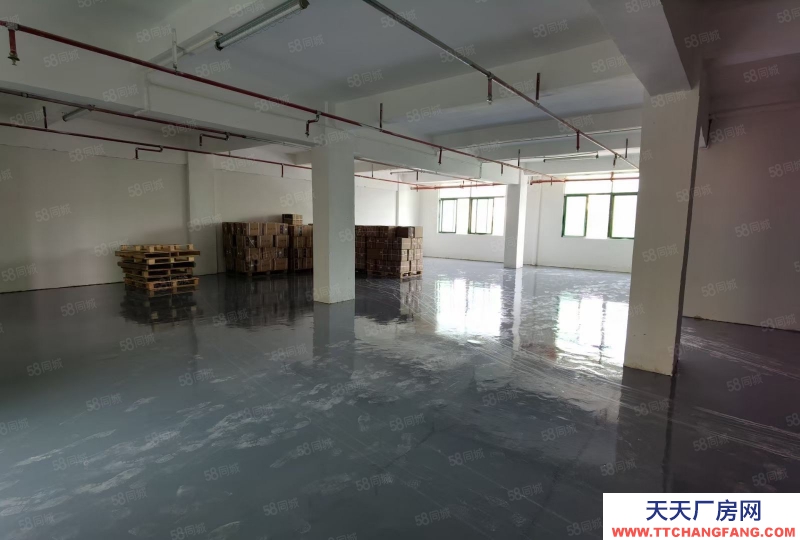 (出租) 深圳龍崗橫崗高薪產業園一樓現成倉庫招租