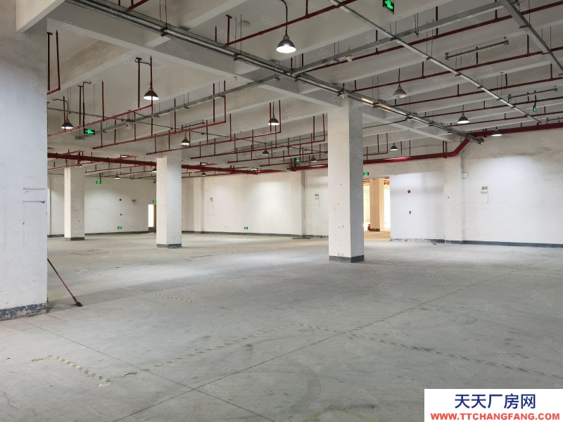 (出租) 深圳龍崗平湖乾龍1800平米倉庫出租，可分租，作業設備齊全.