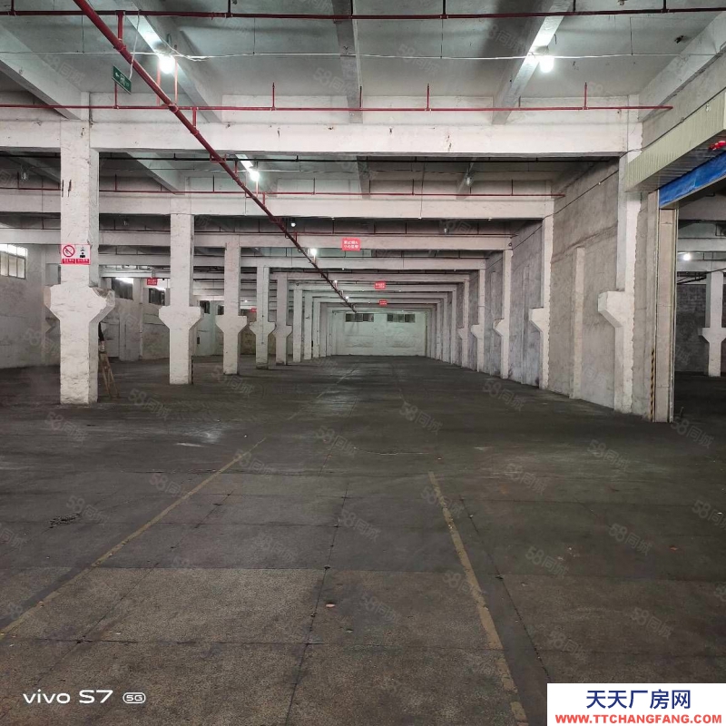 (出租)深圳鹽田帶紅本物流倉庫2300平,11000平,帶卸貨平臺有雨棚